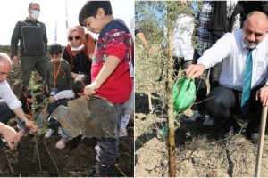 Canik'te Fidanlar Toprakla Buluştu 